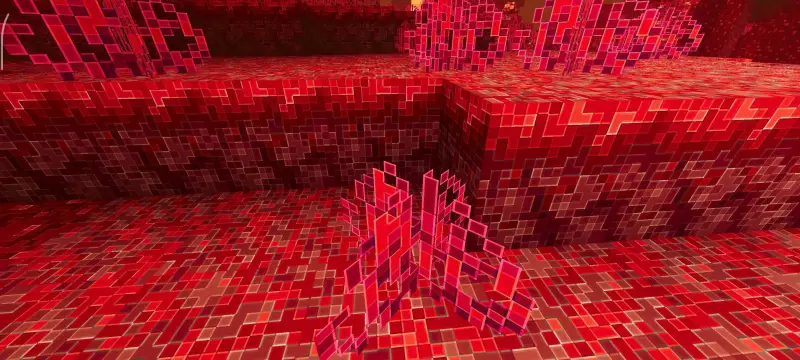 Новый вид багровой поляны