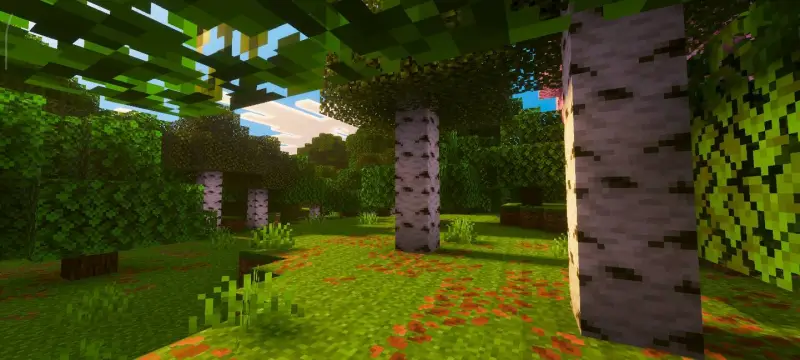 Новый вид неба в лесу