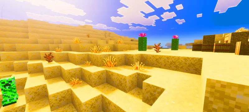 Новый вид пустыни