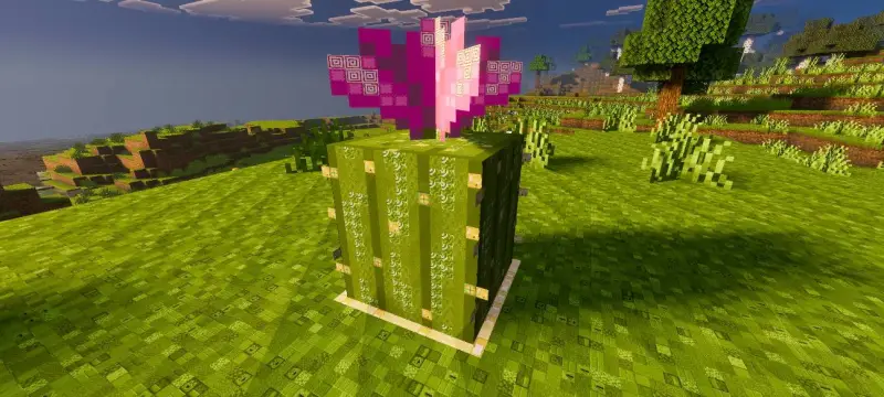 Новый вид кактуса