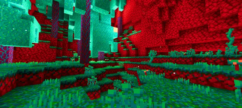 Новый вид искажённого леса