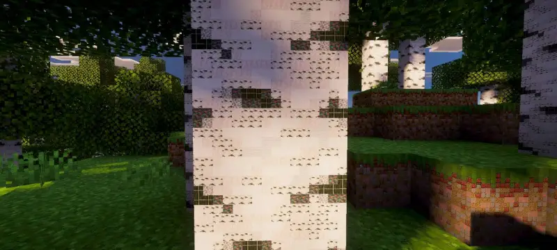 Новый вид берёзового бревна под разрешением 96x