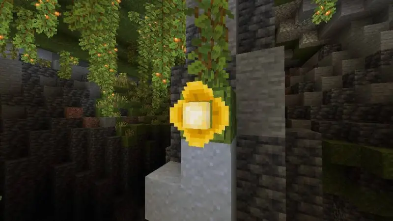 Новый цветок в пышных пещерах