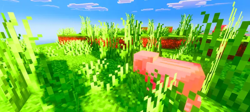 Новый вид теней