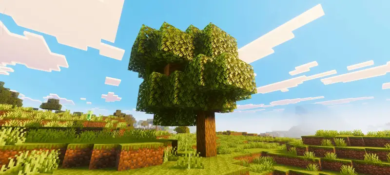 Новый вид равнины