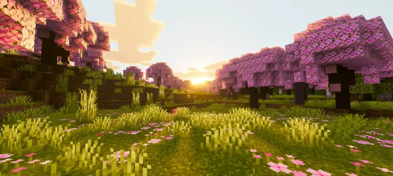 Новый вид освещения в вишнёвом лесу