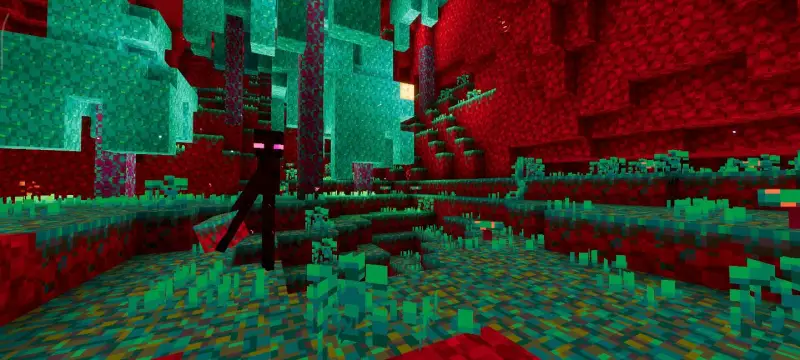 Новый вид искажённого леса под разрешением 12x12