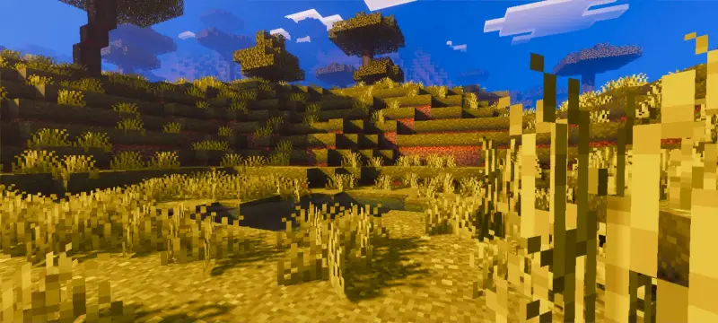 Обновленные текстуры теней и блоков в саване