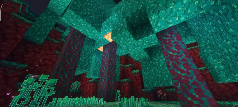 Новый вид искажённого леса