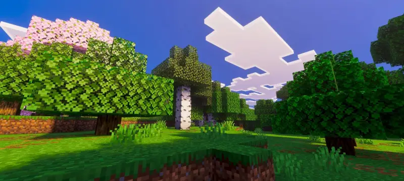 Новый вид освещения в лесу