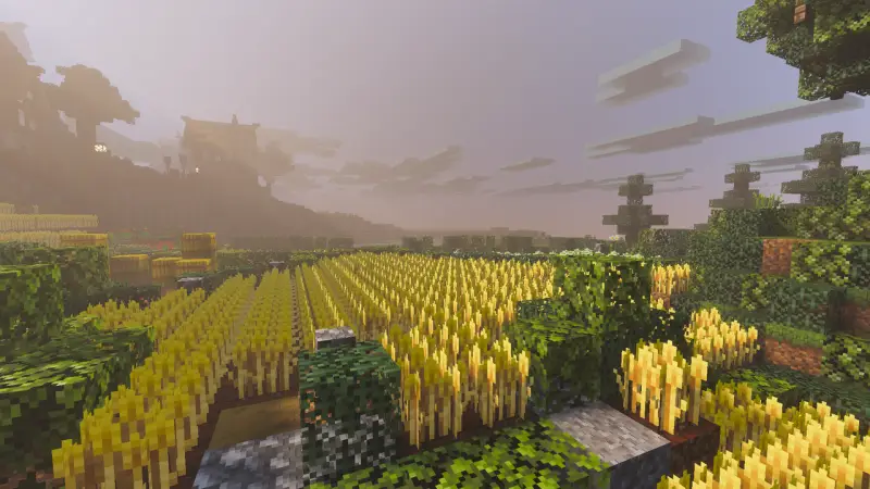 Детализированное освещение и тени на поле пшеницы