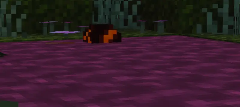 Лавовый камень на тропинке вечером