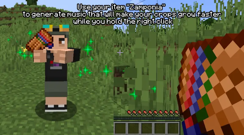 Использование зампонии