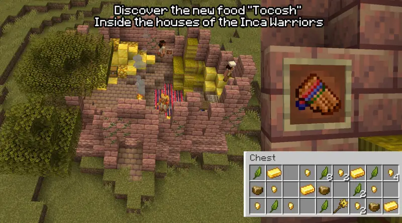 Зампония в рамке