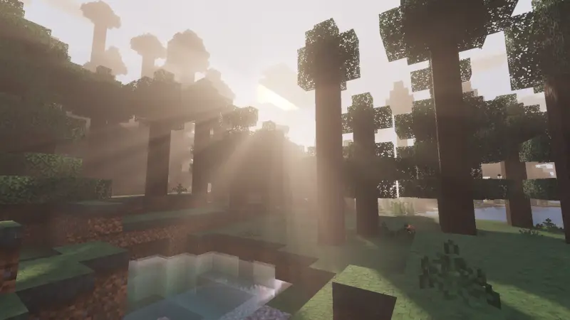 Качественные лучи проступают сквозь кроны деревьев