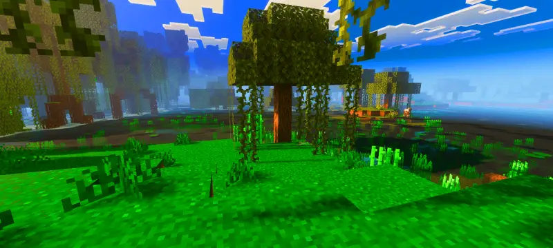 Новый вид болота