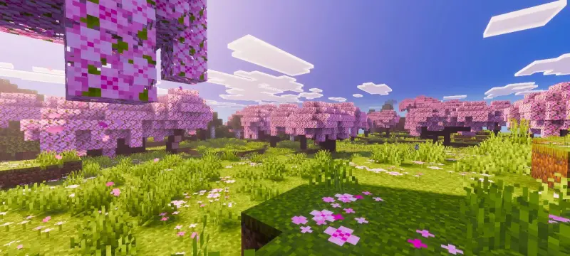 Новый вид освещения в вишнёвом лесу