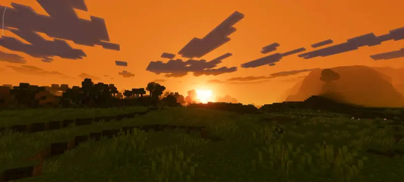 Новый вид солнца в лесу вечером