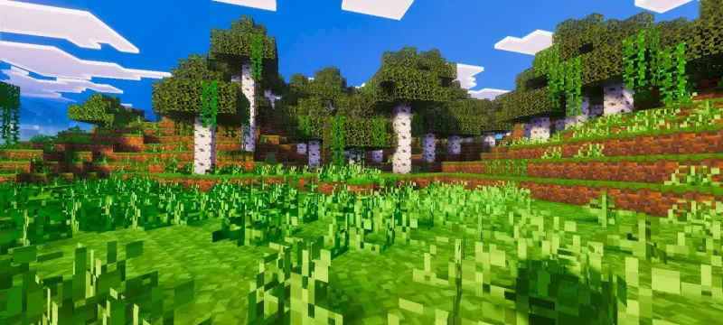 Новый вид берёзового леса под разрешением 12x12