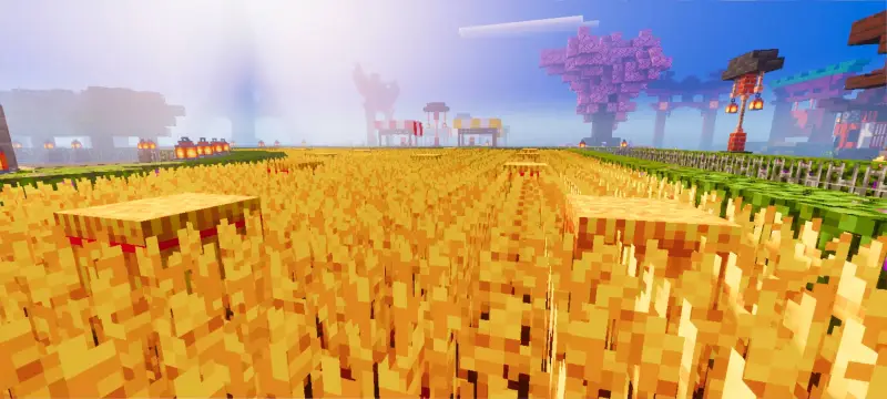 Насыщенный внешний вид пшеницы и растений