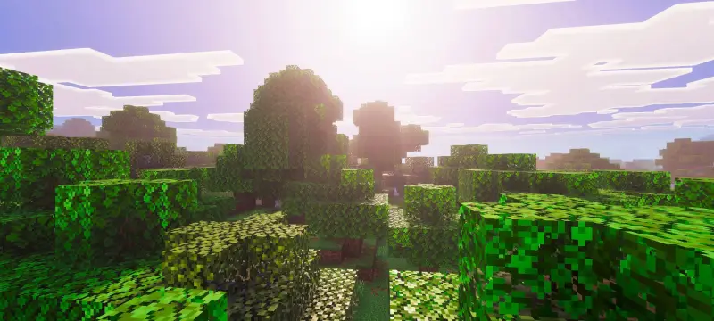 Новый вид освещения над лесом