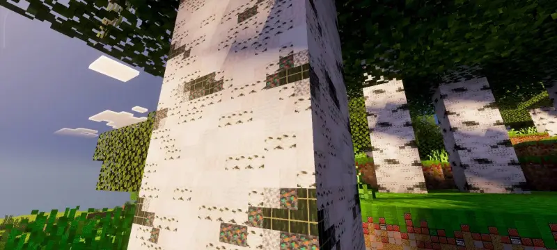 Новый вид берёзового бревна под разрешением 128x