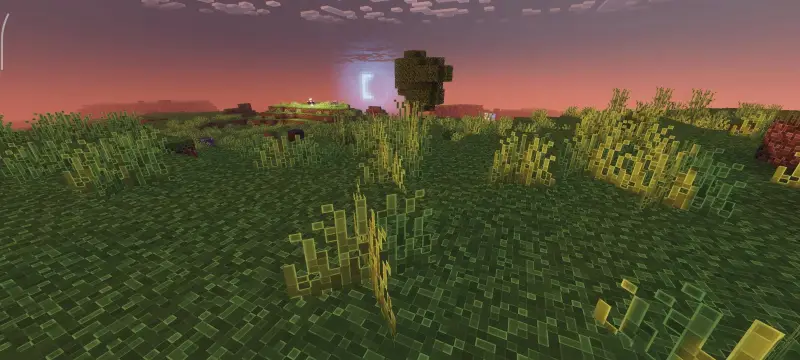 Новый вид луны