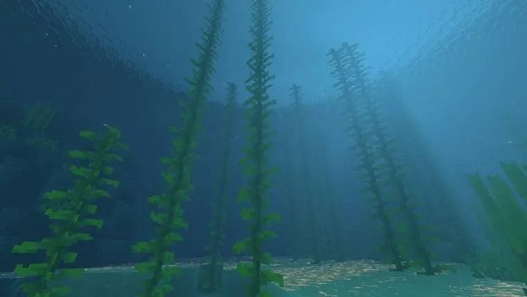 Высокие ламинарии в глубоком океане