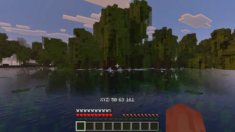 Отображение координат по середине