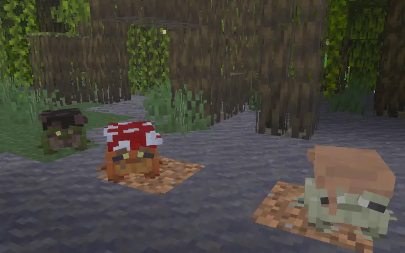 Три виды лягушек с разными грибами на голове