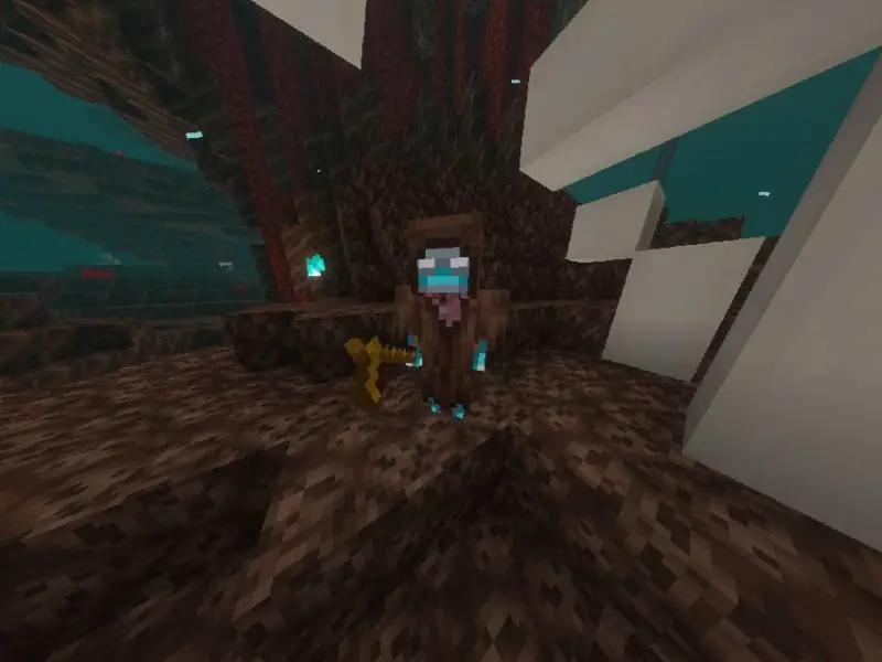 Новый вариант скелета в Незере