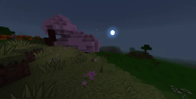 Новый облик луны над вишневым биомом