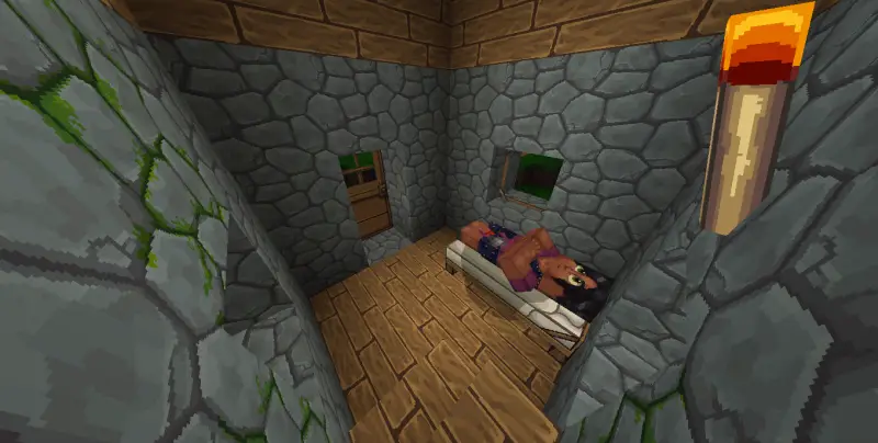 Обновленные текстуры жителя и блоков в доме