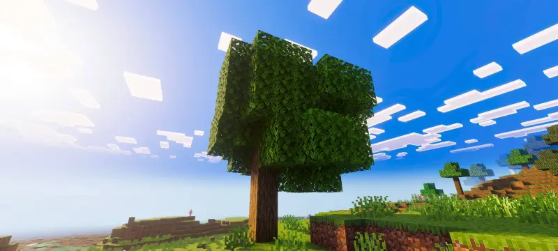 Новый вид тени от дерева