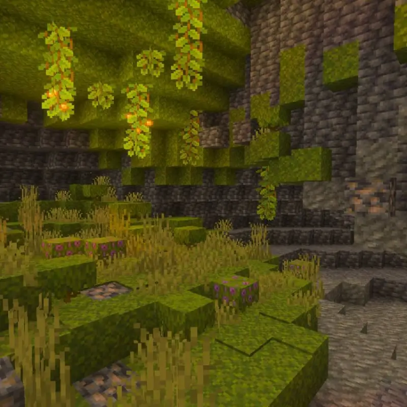 Пышные пещеры с яркими ягодами