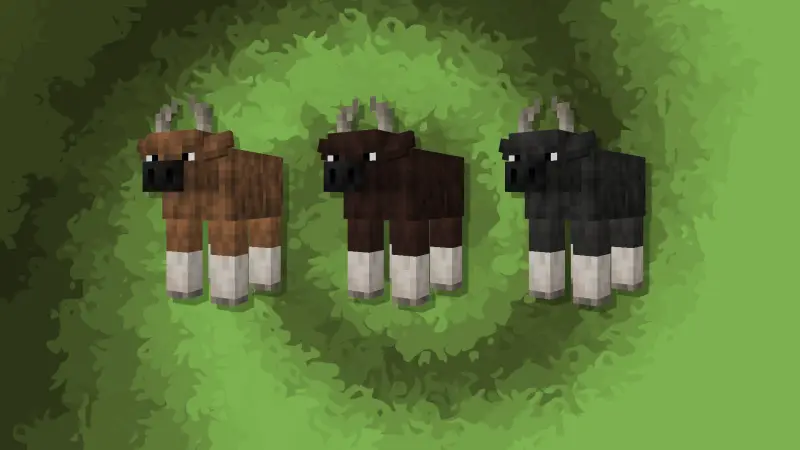 Коровы разных цветов