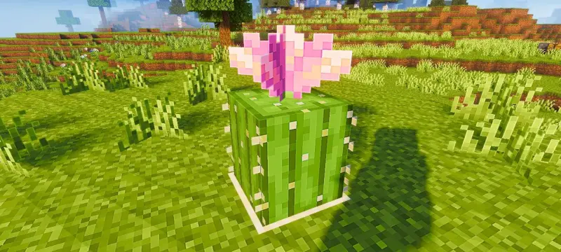 Новый вид кактуса