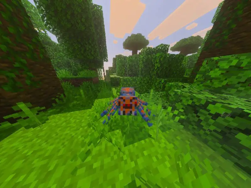 Новый вариант паука в джунглях