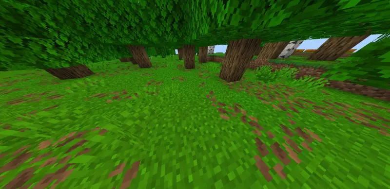 Новый вид поле зрения