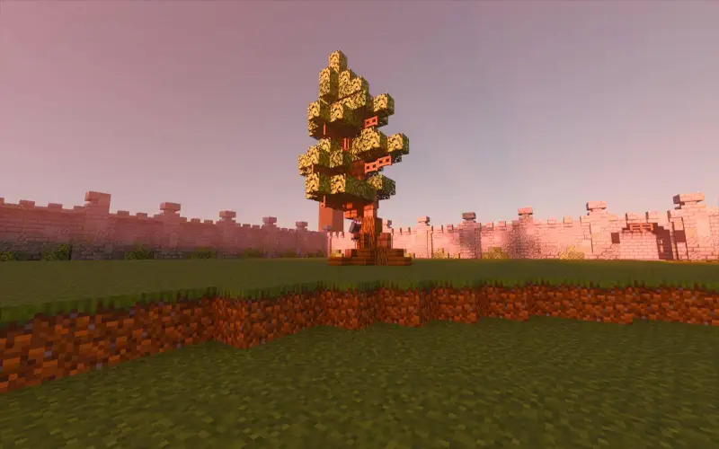 Закрытая территория с высоким деревом