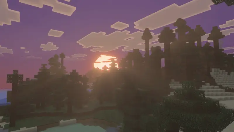 Розовый закат над еловым лесом