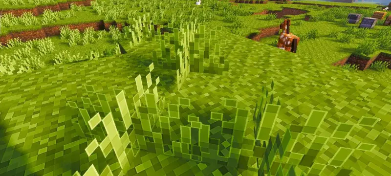 Новый вид травы