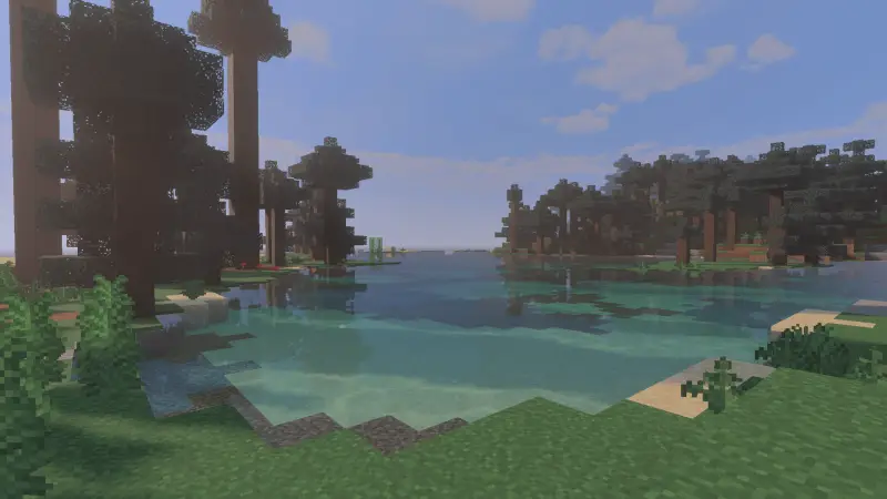 Ели вокруг залива на фоне голубого неба