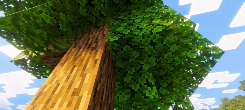 Новый вид освещения от листвы