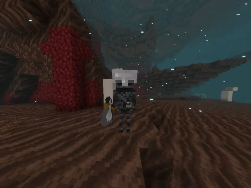 Новый вариант визер-скелета