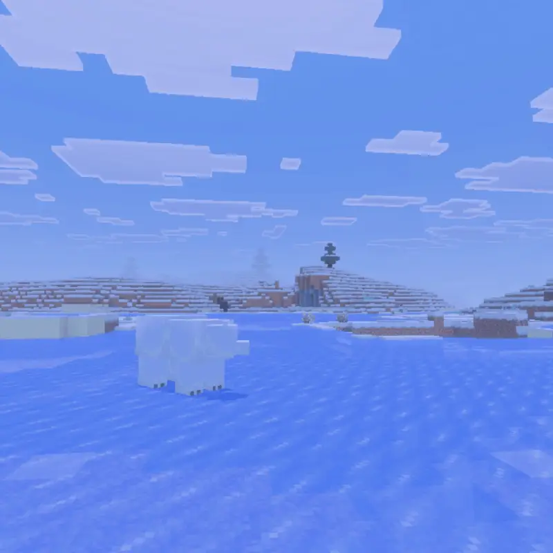 Новый вид мира