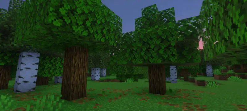 Новый вид блоков вечером