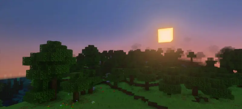 Яркий закат над густым лесом