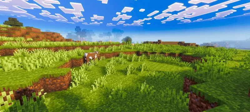 Новый вид теней