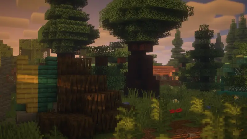 Лес с елями